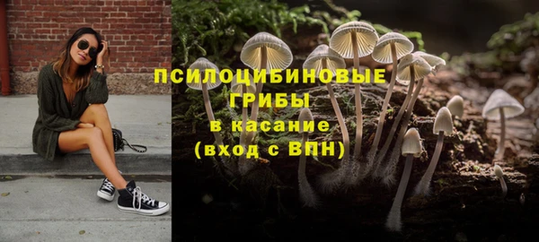 гидропоника Богородицк