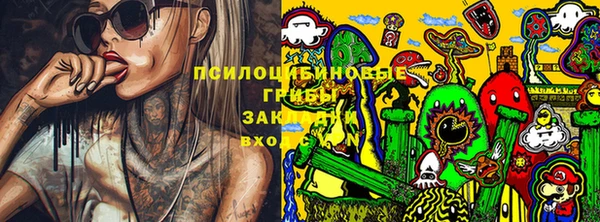 гидропоника Богородицк