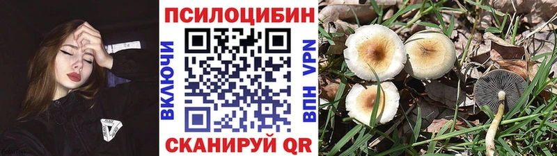 гидра онион  Черепаново  Псилоцибиновые грибы GOLDEN TEACHER 